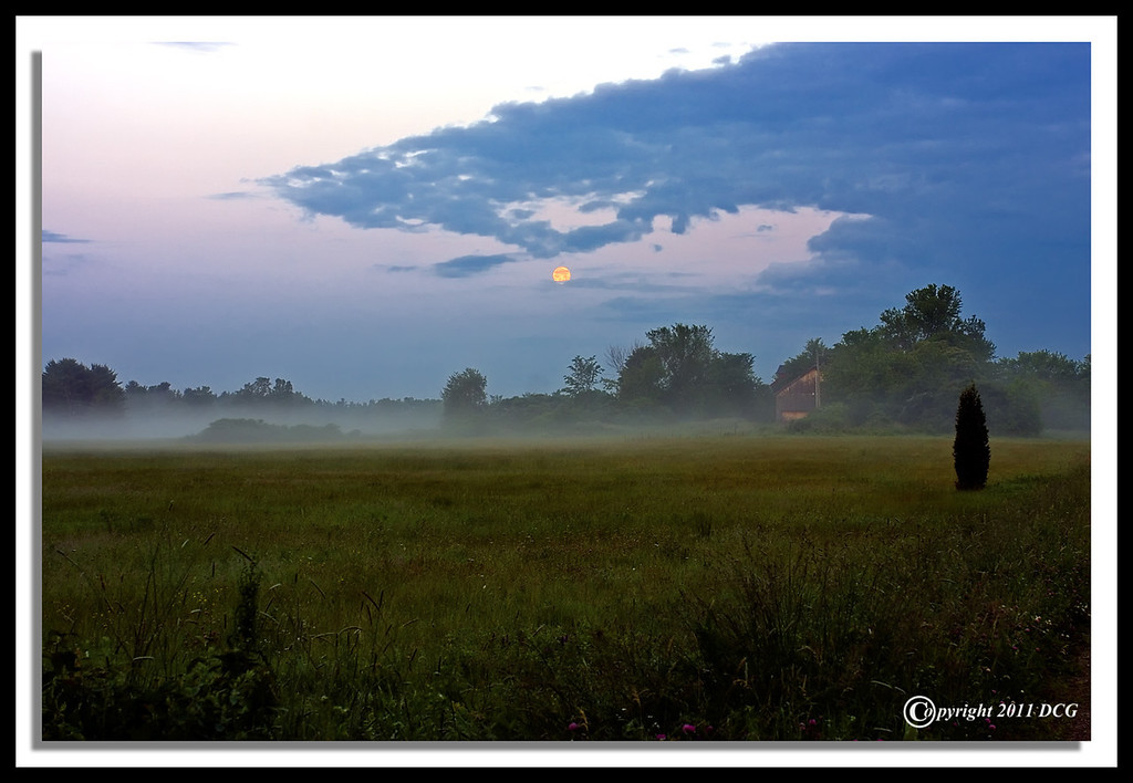 IMAGE: http://amtphoto.smugmug.com/2011Photos/Bellamy-River-Wildlife/i-WvMm5nN/0/XL/Hay-Field-06-16-01cr-XL.jpg