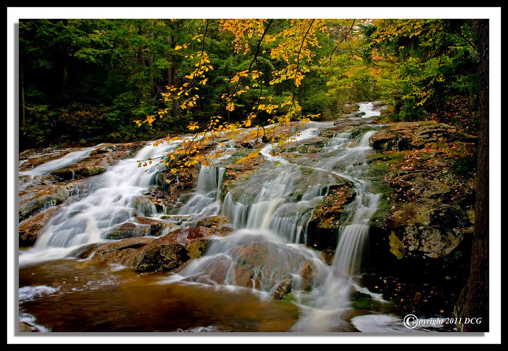 IMAGE: http://amtphoto.smugmug.com/2011Photos/White-Mountain-National-Forest/i-zWSzPhg/0/XL/Cascade-Brook-10-05-28cr-XL.jpg
