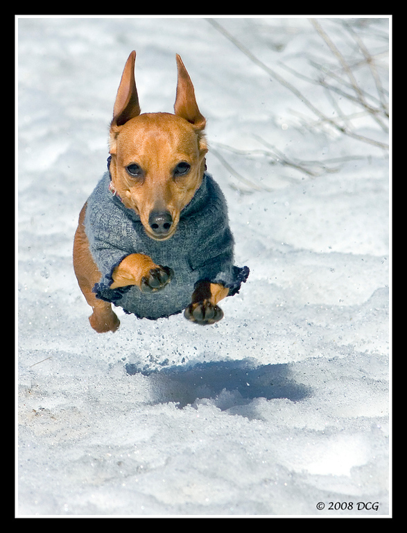 IMAGE: http://amtphoto.smugmug.com/photos/282677972_GPRdM-XL.jpg