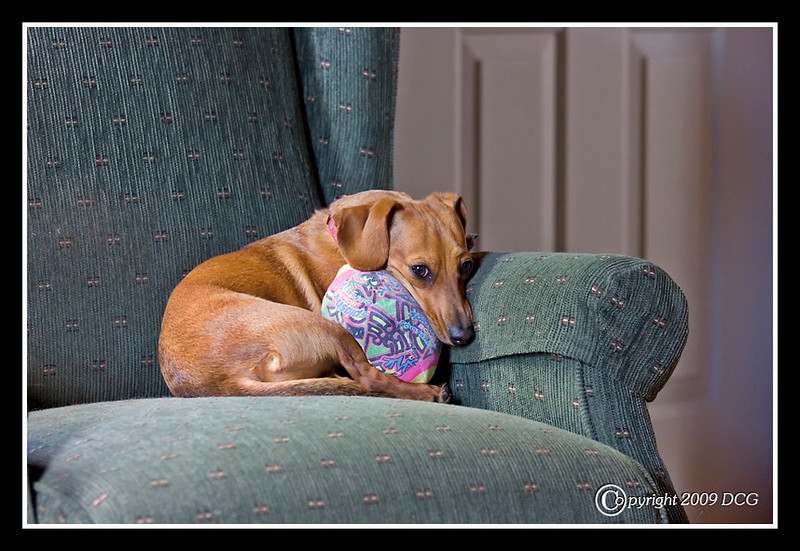 IMAGE: http://amtphoto.smugmug.com/photos/536295650_ttmWM-L.jpg