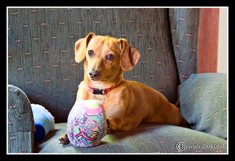 IMAGE: http://amtphoto.smugmug.com/photos/536296140_MZ2hH-L.jpg