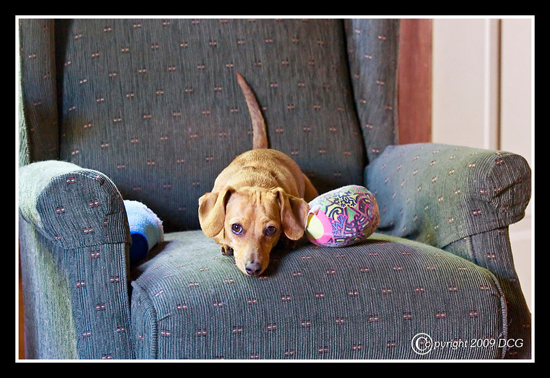 IMAGE: http://amtphoto.smugmug.com/photos/536296347_Waez5-L.jpg